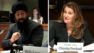 Chrystia Freelands testimony turns chaotic after questioning from Tory MP  ‘Stop the crosstalk’ [upl. by Abigale]