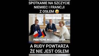 Osioł ofiarny 🤣 [upl. by Cirdet]