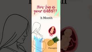 Pregnancy week by week  baby development month by month  How big is the baby now  pregnancy [upl. by Tonl349]