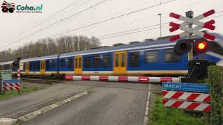 Spoorwegovergang Schiedam 😍4K😍  Dutch railroad crossing [upl. by Burrows]