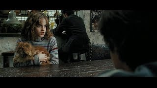 Harry Potter and the Prisoner of Azkaban  Reencounter of harry Ron and Hermione scene [upl. by Kulda]