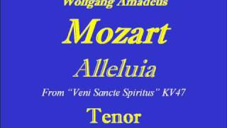 Alleluia KV47 Mozart  Tenorwmv [upl. by Nelyak655]