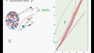 PREU Modular  Radiactividad III Video 3 de 3 [upl. by Grazia]