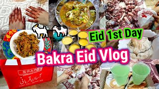 Bakra Eid Vlog 2023 🐐🐄  First Time Qurbani Live Dekhi  Eid 1st Day 😍  Eid Celebration With Family [upl. by Arba]