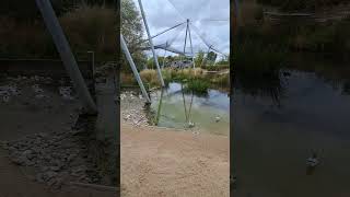 Waterscapes Aviary Slimbridge WWT [upl. by Mosera826]