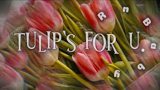 RnBaby  Tulip’s for u Lyrics video [upl. by Kielty]