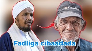 Qiso cajiiba  Fadliga Cibaadada  Sh cabdirashiid Cali Suufi [upl. by Allisurd]