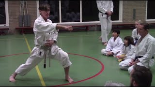 hotton sensei Amsterdam 2018 intrinsic strength [upl. by Fi]