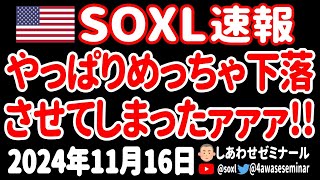 【しあわせ暴落😭】SOXL約10！申し訳ございませんんんんんん！ [upl. by Eussoj]