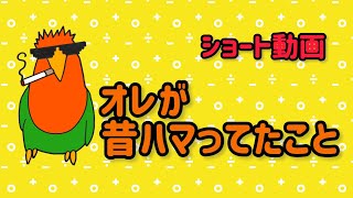 コザクラインコのセセリ♂が赤ちゃんときにハマっていた遊び [upl. by Pierpont]