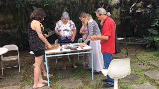 Oficina Fitotipia e Antotipia Dani Sandrini Casa Fototech Paraty em Foco 2018 [upl. by Vary159]