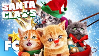 Santa Claws  Full Family Christmas Cat Movie  Family Central [upl. by Mallon]