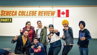 Seneca College Review  Part 1 Punjabi Students in Canada [upl. by Yrag]