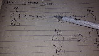 Phenol to Aniline conversion reaction  phenol to Aniline class 12 [upl. by Annaes344]