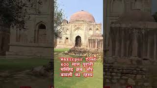 Wazirpur Tomb Delhi  600 साल पुरानी क्रब मकबरे और बावली का काला सच  ytshortsviral [upl. by Lehcem]