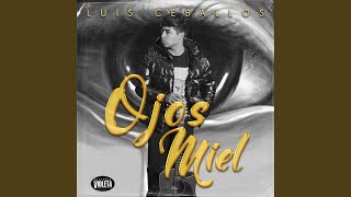 Ojos Miel [upl. by Lyrehc]