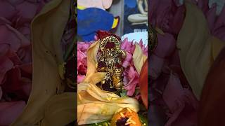 Meeru devudni em korukuntaru devotion god teluguvlogs telugushorts viralvideo viralshorts [upl. by Glad]