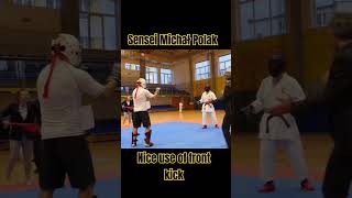 Nice use of mae gerifront kick Sensei Michał Polak karate martialarts kumite taekwondo [upl. by Bilow43]