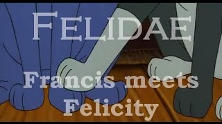 Felidae  Francis meets Felicity [upl. by Julita]