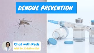 Prevent DENGUE FEVER  PPS NEL Dengue Integrated Program  Chat with Peds  Dr Kristine Alba Kiat [upl. by Bradley]