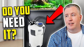 Does Your Aquarium Need A Canister Filter [upl. by Mcmath]