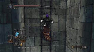 Dark Souls 2 SotFS  Drangleic Castle Activating Lift For Kings Passage Key [upl. by Emanuela509]