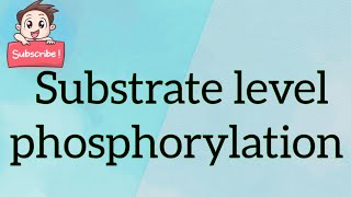 Substrate level phosphorylation [upl. by Adniralc]