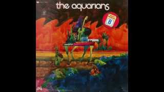 The AquariansThe Aquarians 1969 [upl. by Hazard]