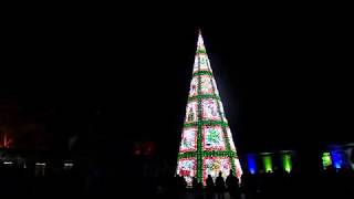 Longleat festival of light christmas tree 08112019 [upl. by Navek494]