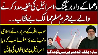 Muslim Countries Exposed  Details by Syed Ali Haider [upl. by Adnert]