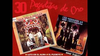 Los Terrícolas 30 Pegaditas de Oro Vol 1 1992 Disco Completo [upl. by Lina]