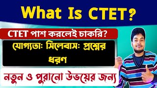 What Is CTET CTET 2023 Notification CTET Eligibilty Syllabus Question Pattern [upl. by Eniledgam515]