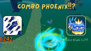 Combo Phoenix V2 ONE SHOT 30M Trong Update 20 Blox Fruit [upl. by Nihsfa510]