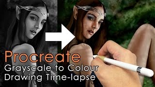 procreate grayscale to colour time lapse [upl. by Acirem]