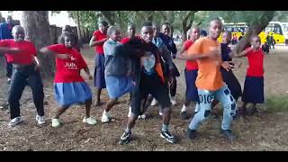 Lulu lala dance challenge PANGANI GIRLS HIGH SCHOOL [upl. by Ardnasal276]