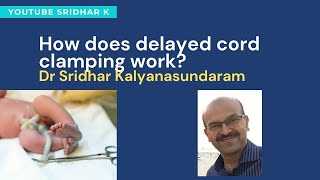 How does delayed cord clamping work Physiology behind delayed cord clamping Dr Sridhar K [upl. by Nlyak340]