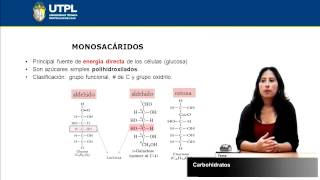 UTPL CARBOHIDRATOS GESTIÓN AMBIENTALBIOQUÍMICA [upl. by Nwotna]