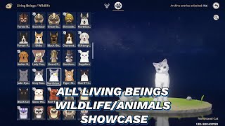 ALL LIVING BEINGS WILDLIFE ANIMALS SHOWCASE [upl. by Charbonnier]