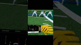 Down To The Wire In NEW YORK  NFL Pro Era metaquest3vr [upl. by Hanny]