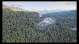 America by Drone  Northern Forests [upl. by Gnouc]