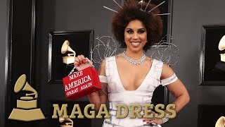 Grammys 2019 Joy Villas proTrump wall outfit [upl. by Karp479]