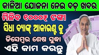 Kalia yojana new update odisha  kalia yojana 10th installment kalia jojana 2023 kaliayojana [upl. by Ankney]