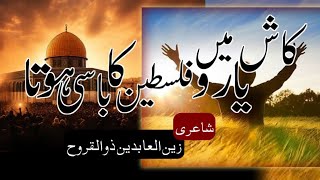 kash me yaro Palestine ka basi hota lyrics Zainulabedeen Zulqrooh [upl. by Stalk138]