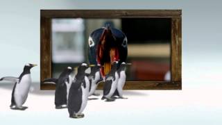 Mr Popper s Penguins Blu Ray Menu [upl. by Horne]