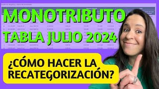 MONOTRIBUTO JULIO 2024 ​🔥​ ¿Por qué todos deben recategorizarse 😱​ [upl. by Marybelle]