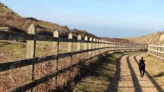 Dessys Croyde To The Beach [upl. by Ogeid]