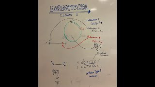 DIRECTIONAL CLONING [upl. by Enitram]