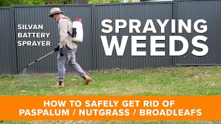 Got weed problems Get Rid of Paspalum Nutgrass and Broadleaf Weeds in a Wintergreen Couch Lawn [upl. by Eivets]