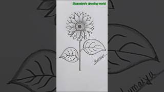 drawing sunflower drawingideas art drawingtutorials shorts viralshorts [upl. by Curt664]