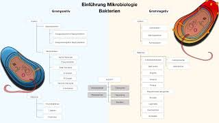 Mikrobiologie Einführung [upl. by Zia576]